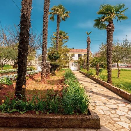 Apartment Villa Olga Poreč Dış mekan fotoğraf
