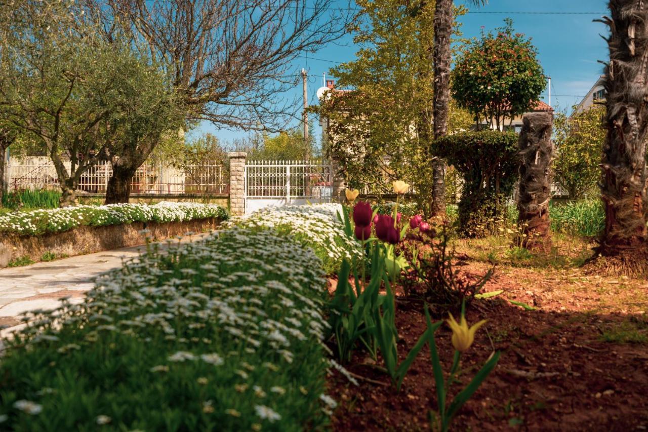 Apartment Villa Olga Poreč Dış mekan fotoğraf