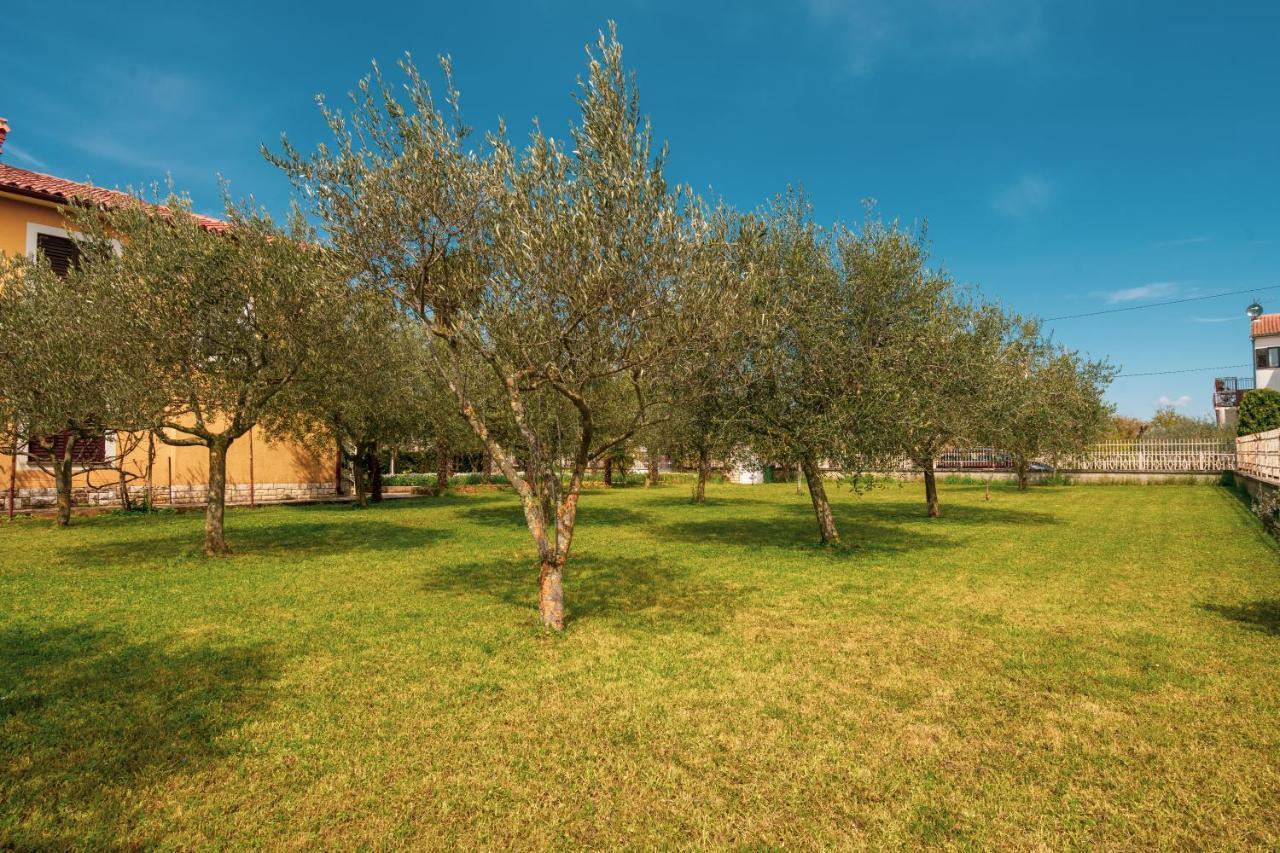 Apartment Villa Olga Poreč Dış mekan fotoğraf