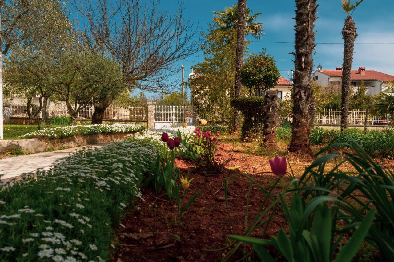 Apartment Villa Olga Poreč Dış mekan fotoğraf